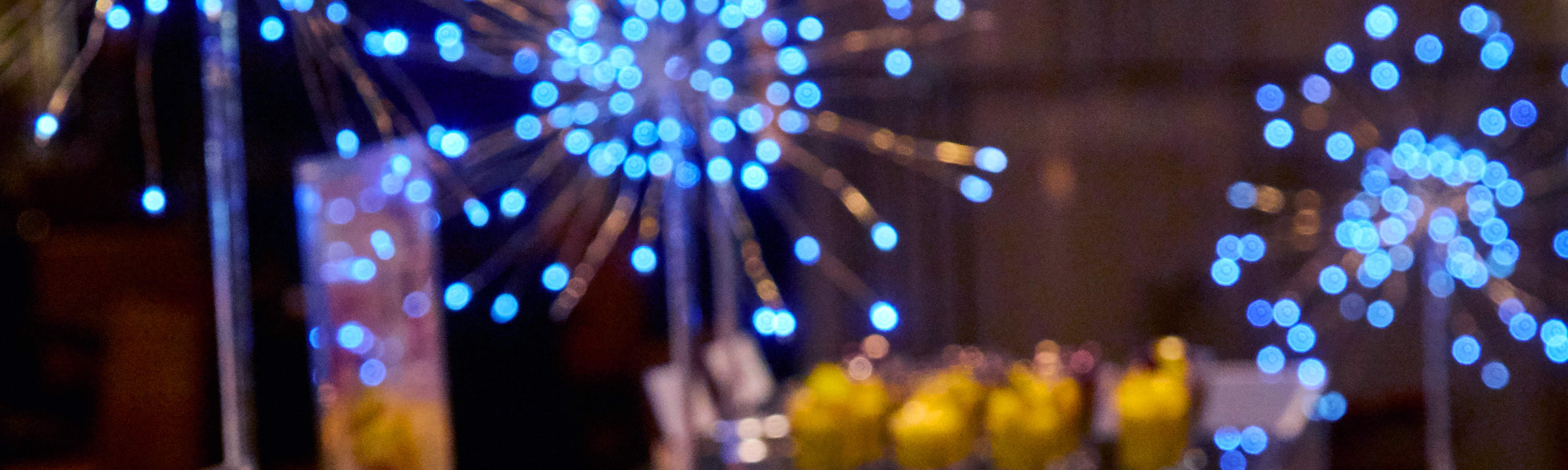 Buffet dinner for one person from Friday to Sunday